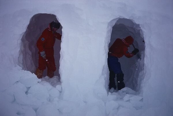 Digging a snow shelter, Arctic, Norway, Scandinavia, Europe