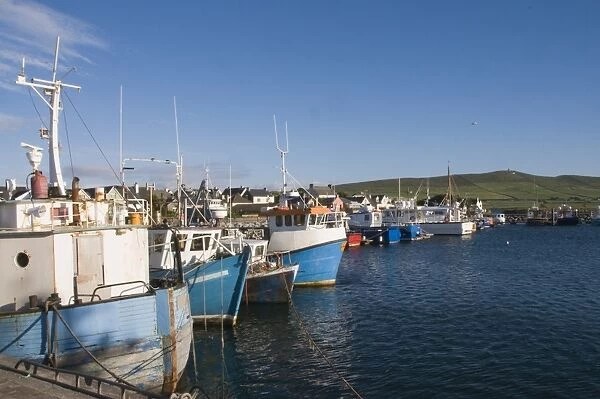 Dingle Harbour with fishing boats, Dingle, County Kerry, Munster, Republic of Ireland