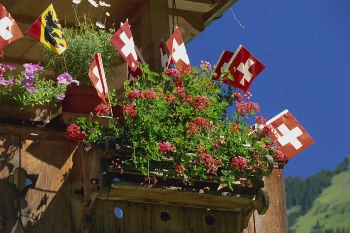 Framed Print : Display of flags to mark Swiss National Day Framed Print : Display of flags to mark Swiss National Day