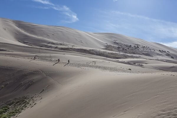 Distant people descending a huge sand dune, iridescent on a summer evening, Khongoryn Els