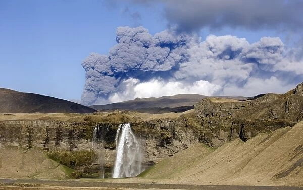 Distant view of the Seljalandsfoss waterfall with the ash plume of the Eyjafjallajokull eruption in the distance, near Hella, southern Iceland, Iceland