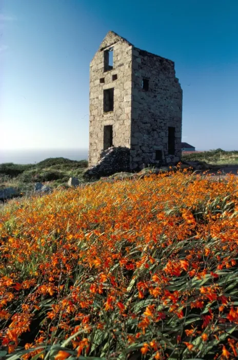 Framed Print : Disused tin mine building near Zennor, Cornwall, England, United Kingdom, Europe Framed Print : Disused tin mine building near Zennor, Cornwall, England, United Kingdom, Europe