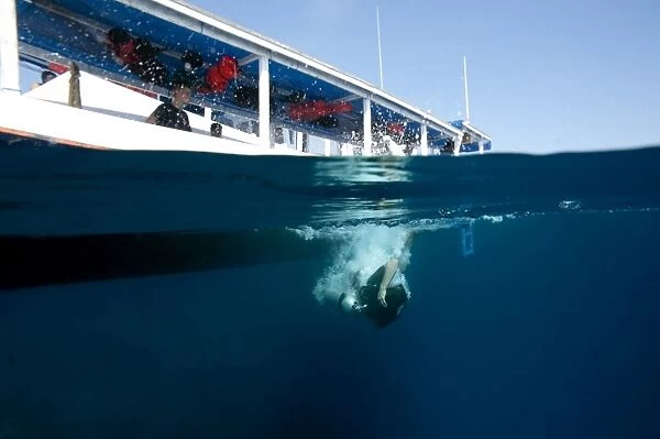 Diver back-rolling off a boat into the water, Komodo, Indonesia, Southeast Asia, Asia