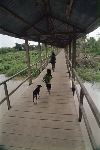 Dog follows boy carrying bananas in small community outside Iquitos