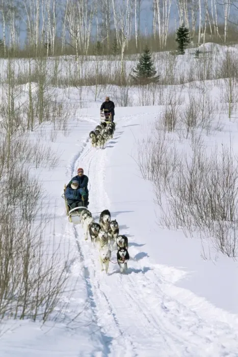 Framed Print : Dog sleighs, province of Quebec, Canada, North America Framed Print : Dog sleighs, province of Quebec, Canada, North America