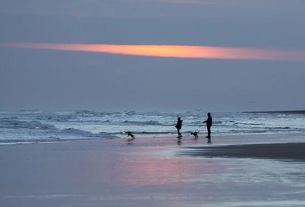 Dog walkers in silhouette on Bamburgh Beach at sunrise, Bamburgh, Northumberland