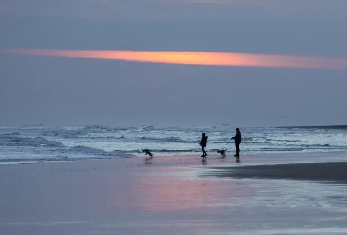 Framed Print : Dog walkers in silhouette on Bamburgh Beach at sunrise, Bamburgh, Northumberland Framed Print : Dog walkers in silhouette on Bamburgh Beach at sunrise, Bamburgh, Northumberland