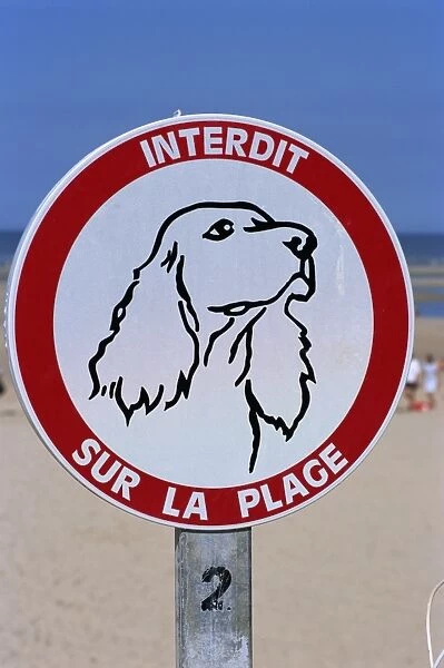 Dogs forbidden sign on beach, Le Touquet, , Nord, France, Europe