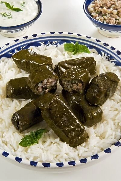 Dolma (Dolmades), grape leaves stuffed with meat and rice, Turkey and Greece