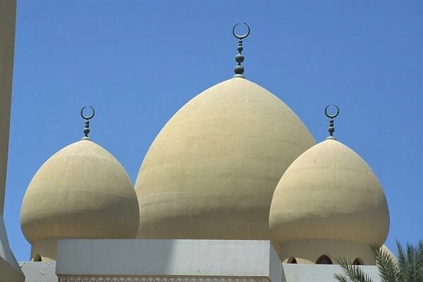 The domes of the Ber Dubai Mosque
