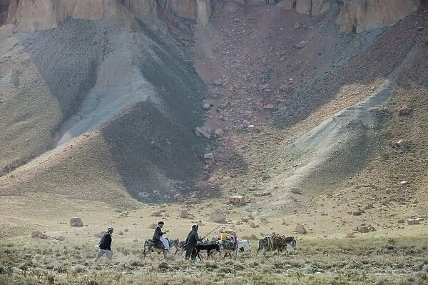 Donkeys and farmers make their way home near Band-e Amir, Afghanistan, Asia