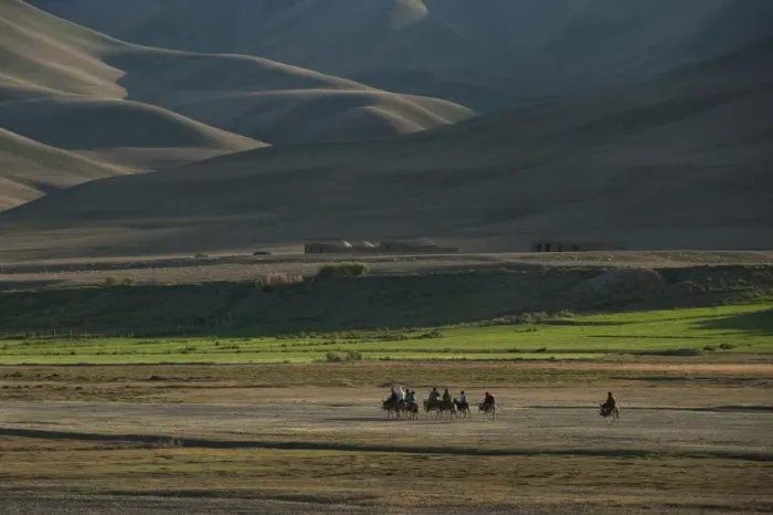 Framed Print : Donkeys are the main source of transport in rural Bamiyan province, Afghanistan, Asia