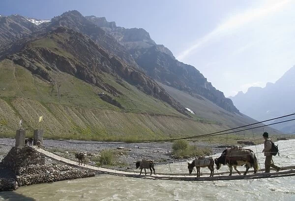 Donkeys, yak and man walking across a wooden suspended