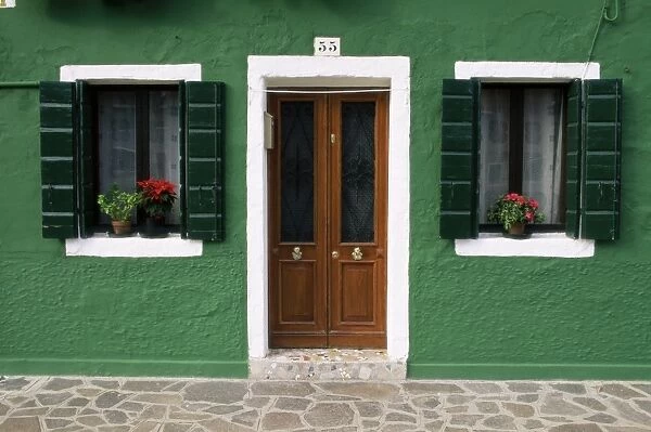 Door and windows of a house