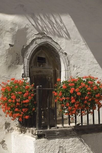 Doorway with trailing geraniums