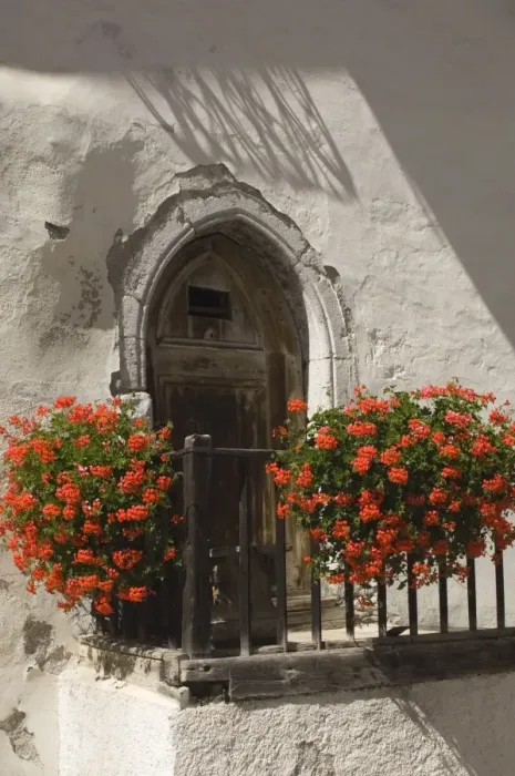 Framed Print : Doorway with trailing geraniums Framed Print : Doorway with trailing geraniums