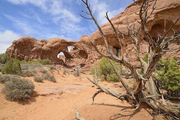 Double Arch, Windows Section, Arches National Park, Utah, United States of America, North America
