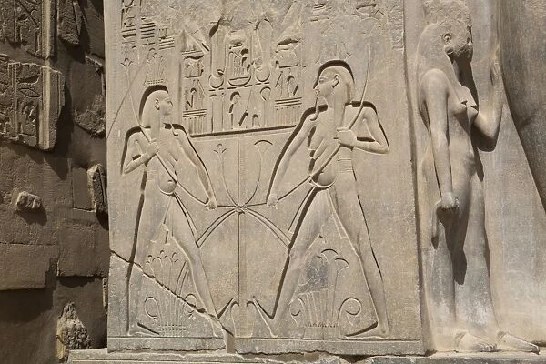 Double image relief of Ramses II, Luxor Temple, Luxor, Thebes, UNESCO World Heritage Site