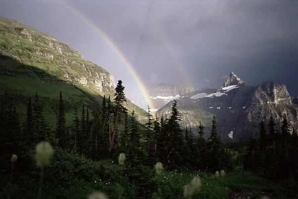 Double rainbow with bear grass in foreground