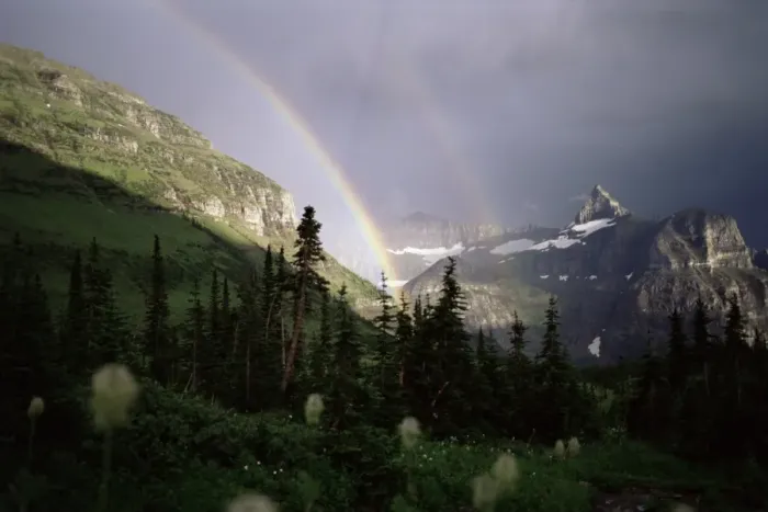 Framed Print : Double rainbow with bear grass in foreground Framed Print : Double rainbow with bear grass in foreground