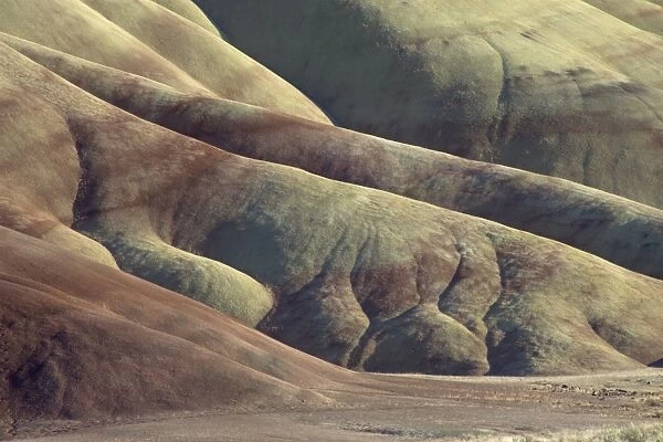 Detail from the dramatic landscape of the Painted Hills