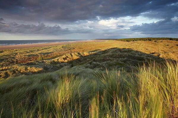Dramatic last light on the dunes overlooking Holkham Bay, Norfolk, England