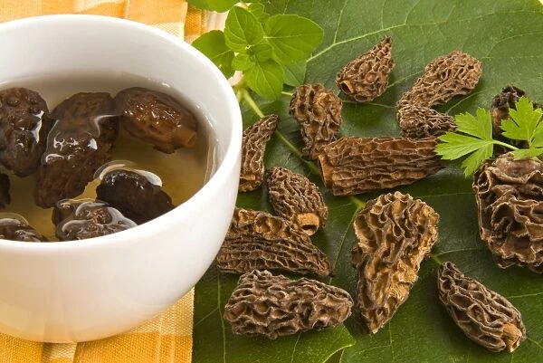 Dried morels, Italy, Europe