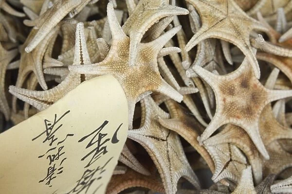 Dried starfish for sale in seafood shop