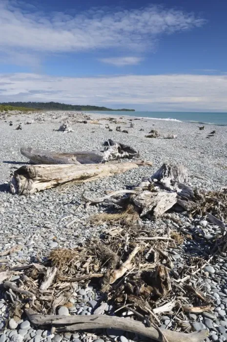 Framed Print : Driftwood, Gillespies Beach, Westland Tai Poutini National Park, UNESCO World Heritage Site Framed Print : Driftwood, Gillespies Beach, Westland Tai Poutini National Park, UNESCO World Heritage Site