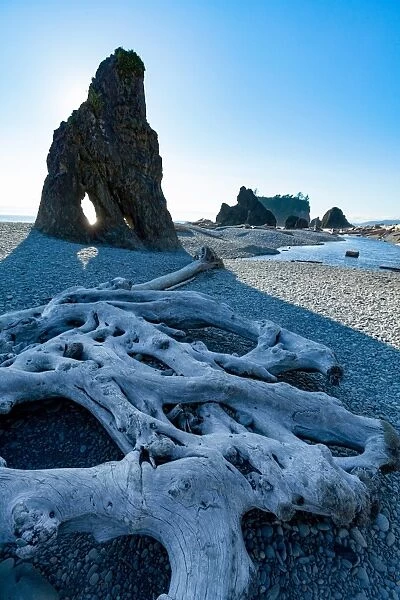Driftwood and sea stacks on Ruby Beach in the Olympic National Park, UNESCO World Heritage Site