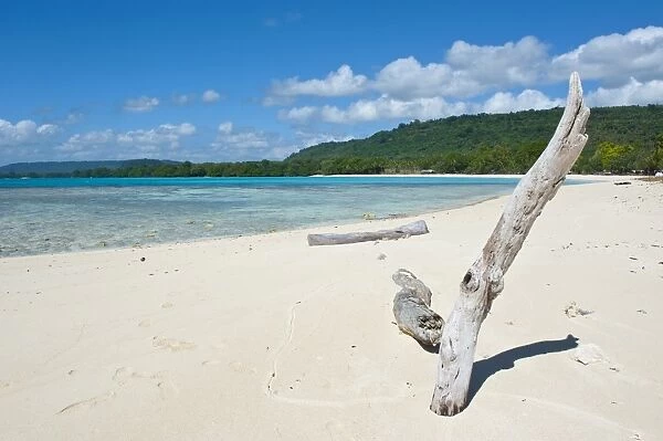Driftwood on the white sand beach of Port Orly, Island of Espiritu Santo, Vanuatu, South Pacific, Pacific