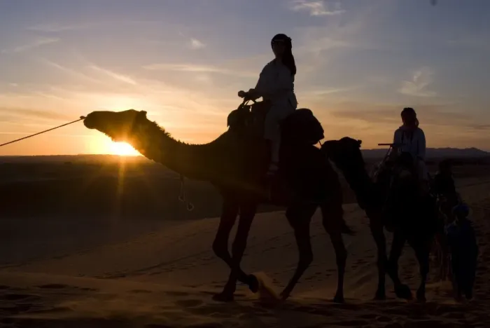 Framed Print : Dromedaries taking tourists on a sunset ride, Merzouga, Morocco, North Africa, Africa Framed Print : Dromedaries taking tourists on a sunset ride, Merzouga, Morocco, North Africa, Africa