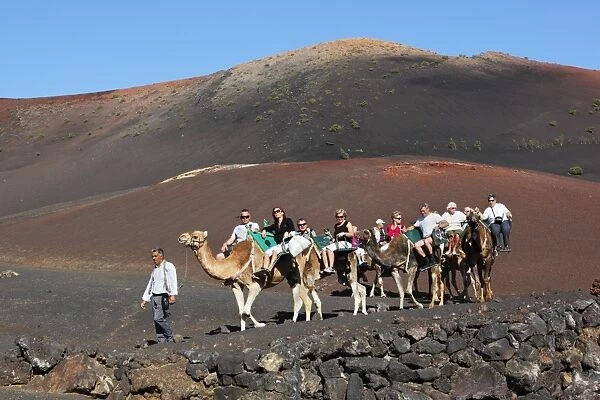 Dromedary ride on slopes of Timanfaya mountain, Timanfaya National Park, Lanzarote, Canary Islands, Spain, Europe
