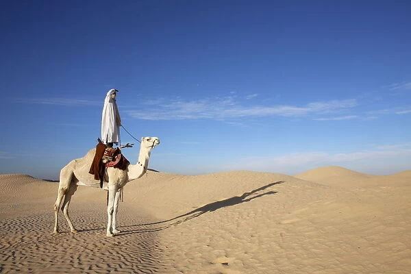 Dromedary rider in the Sahara, Douz, Kebili, Tunisia, North Africa, Africa