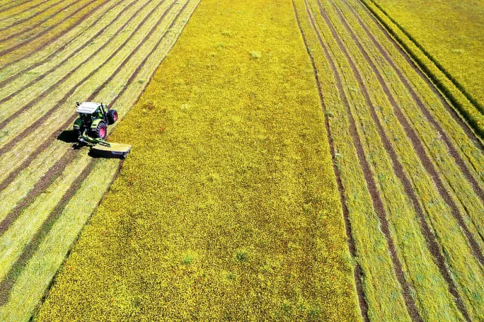 Framed Print : Drone shot of tractor with mower mowing grasses on agricultural field during a summer day, Italy, Europe