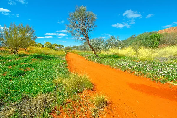 Dry river bed with red sand in Desert Park at Alice Springs near MacDonnell Ranges in