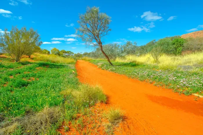 Framed Print : Dry river bed with red sand in Desert Park at Alice Springs near MacDonnell Ranges in