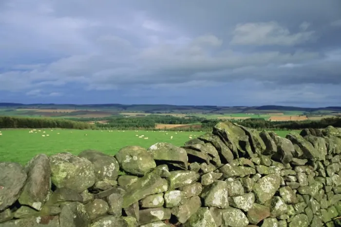 Framed Print : Dry stone wall near Doddington, Northumbria (Northumberland), England, UK, Europe Framed Print : Dry stone wall near Doddington, Northumbria (Northumberland), England, UK, Europe
