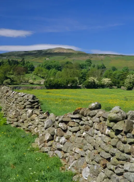 Framed Print : Dry stone wall, Swaledale, North Yorkshire, England, UK, Europe Framed Print : Dry stone wall, Swaledale, North Yorkshire, England, UK, Europe