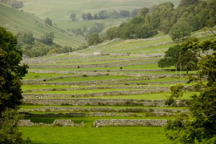 Framed Print : Dry-stone walls of limestone, Kettlewell, Wharfedale, Yorkshire Dales, Yorkshire, England, United Kingdom, Europe Framed Print : Dry-stone walls of limestone, Kettlewell, Wharfedale, Yorkshire Dales, Yorkshire, England, United Kingdom, Europe