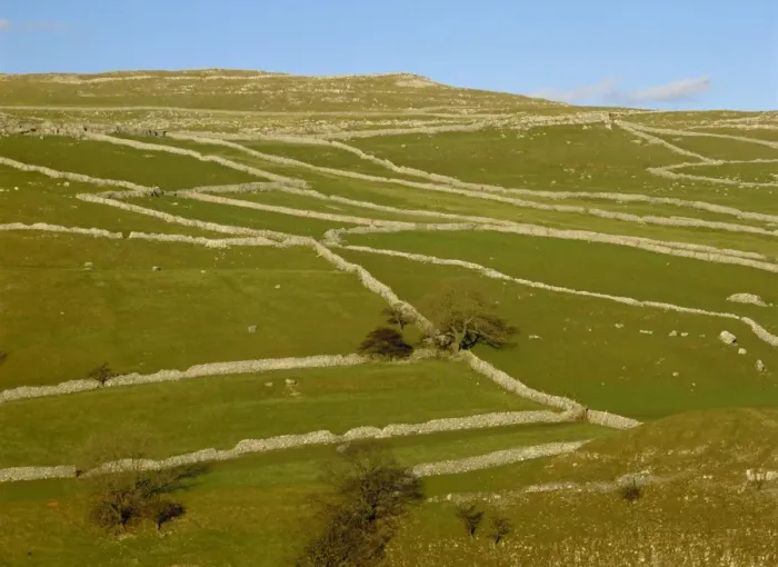 Framed Print : Dry stone walls above Malham, Yorkshire Dales National Park, Yorkshire Framed Print : Dry stone walls above Malham, Yorkshire Dales National Park, Yorkshire