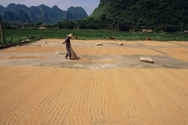 Drying grain near Yangshuo, China, Asia