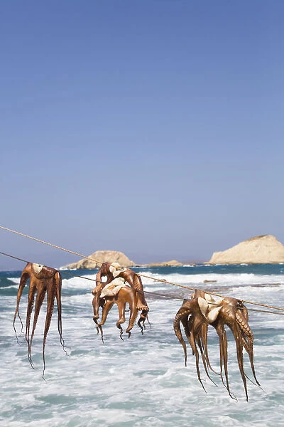 Drying Octopus, Mandrakia Village, Milos Island, Cyclades Group, Greek Islands, Greece
