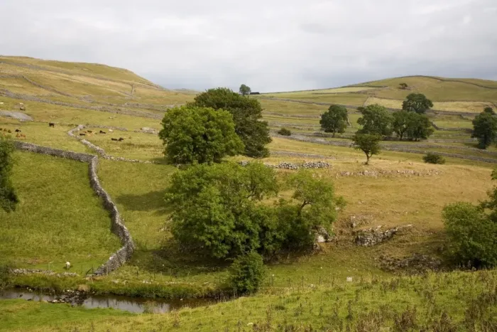 Framed Print : Drystone walls and limestone scenery near Malham, Yorkshire Dales National Park Framed Print : Drystone walls and limestone scenery near Malham, Yorkshire Dales National Park