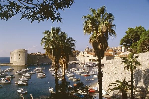 Dubrovnik, Adriatic coast, Croatia, Europe