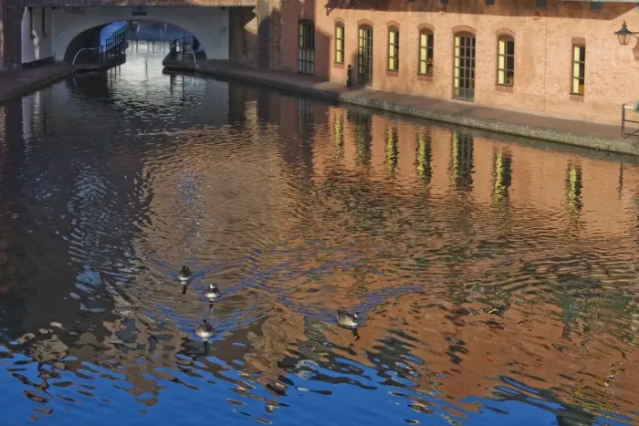 Framed Print : Ducks on canal, Gas Basin, Birmingham, England, United Kingdom, Europe Framed Print : Ducks on canal, Gas Basin, Birmingham, England, United Kingdom, Europe