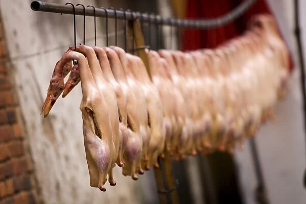 Ducks hanging before being cooked, Kunming, Yunnan, China, Asia