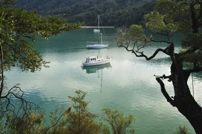 Framed Print : Duncan Bay, Tennyson Inlet, Marlborough Sounds, Marlborough, South Island