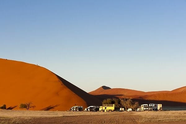 Dune 45, Sossusvlei, Namib Naukluft Park, Namib Desert, Namibia, Africa