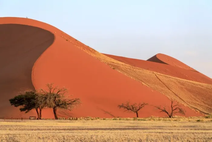 Framed Print : Dune 45 the star dune composed of 5 million year old sand, Sossusvlei, Namib Desert
